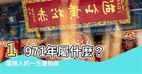 1971屬豬幸運數字|1971年屬什麼生肖？1971年出生人的命運？釵釧金。